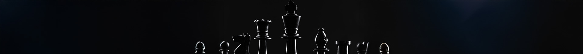 CEO and executive personal security by Sceptre Protection