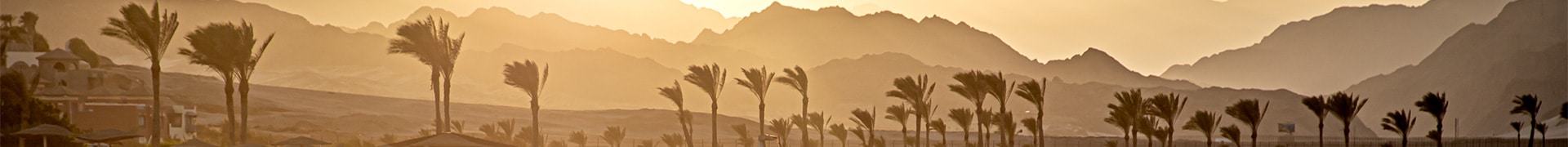 Security consultancy work in South Sinai
